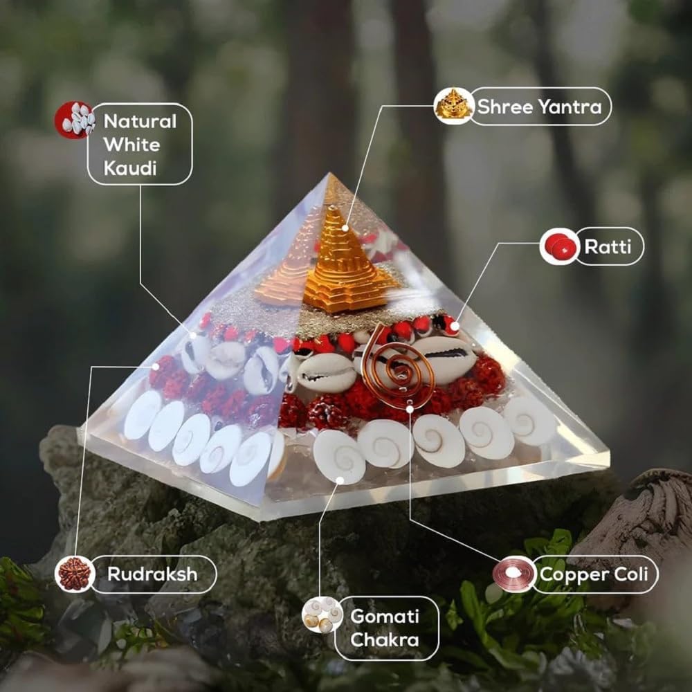 SHREE AASHIRWAD Shop Shree Yantra Gomti Chakra Original - Vastu Chakra Sri Yantra Gomati Chakra - Lakshmi Pyramid - Vastu Items for Home -Spiritual Items