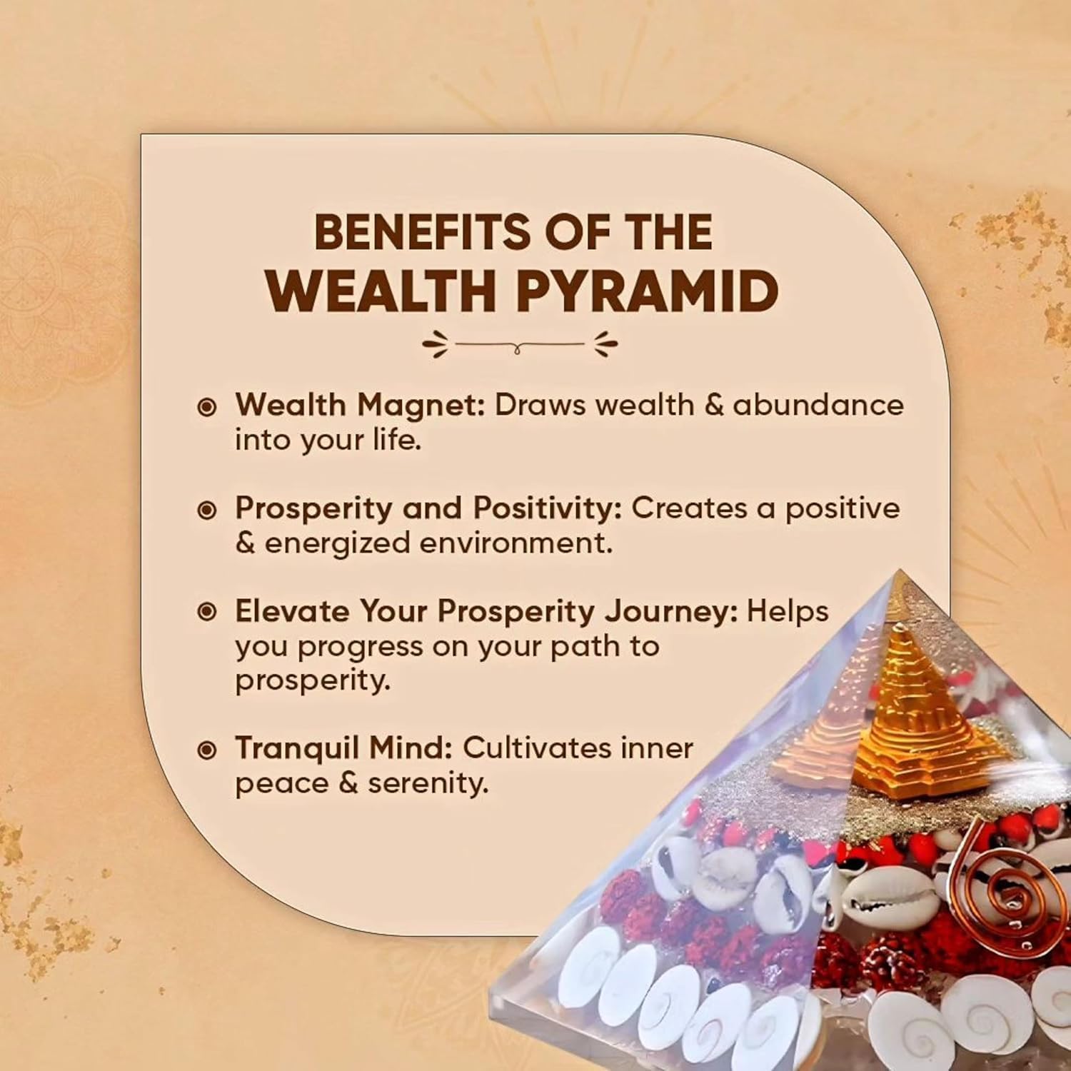 SHREE AASHIRWAD Shop Shree Yantra Gomti Chakra Original - Vastu Chakra Sri Yantra Gomati Chakra - Lakshmi Pyramid - Vastu Items for Home -Spiritual Items