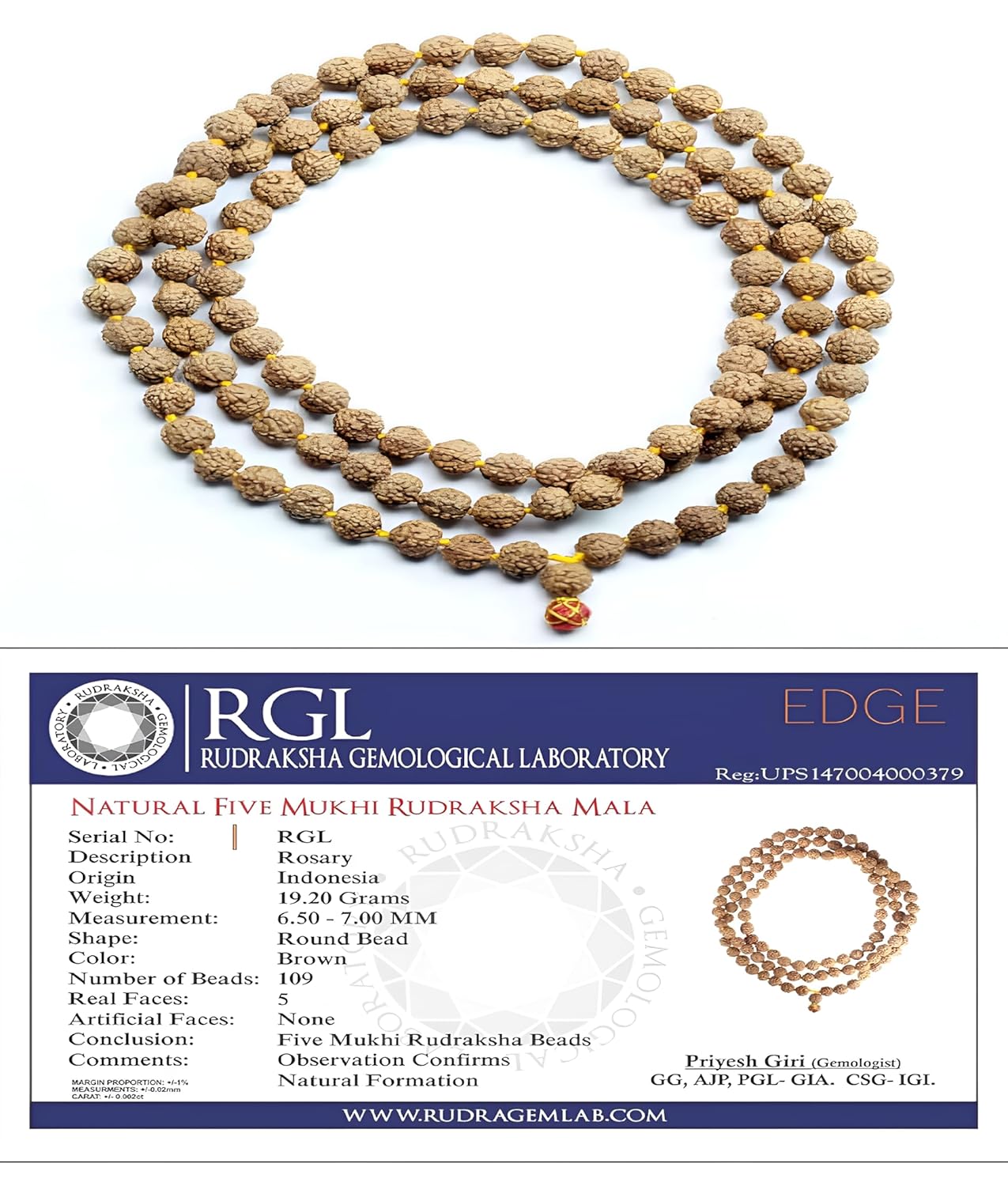 Shree AASHIRWAD Rudraksha Mala 5face(Panchmukhi) Authentic Genuine Rudraksha | Japa Mala Beads Necklace Puja | Prayer Beads | Meditation Beads | 108+1 Beads