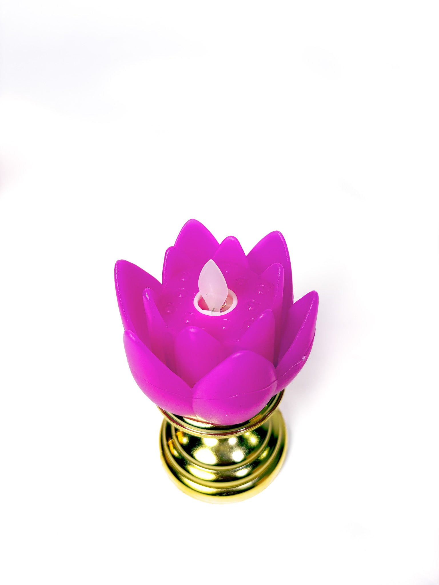 Lotus LED Light