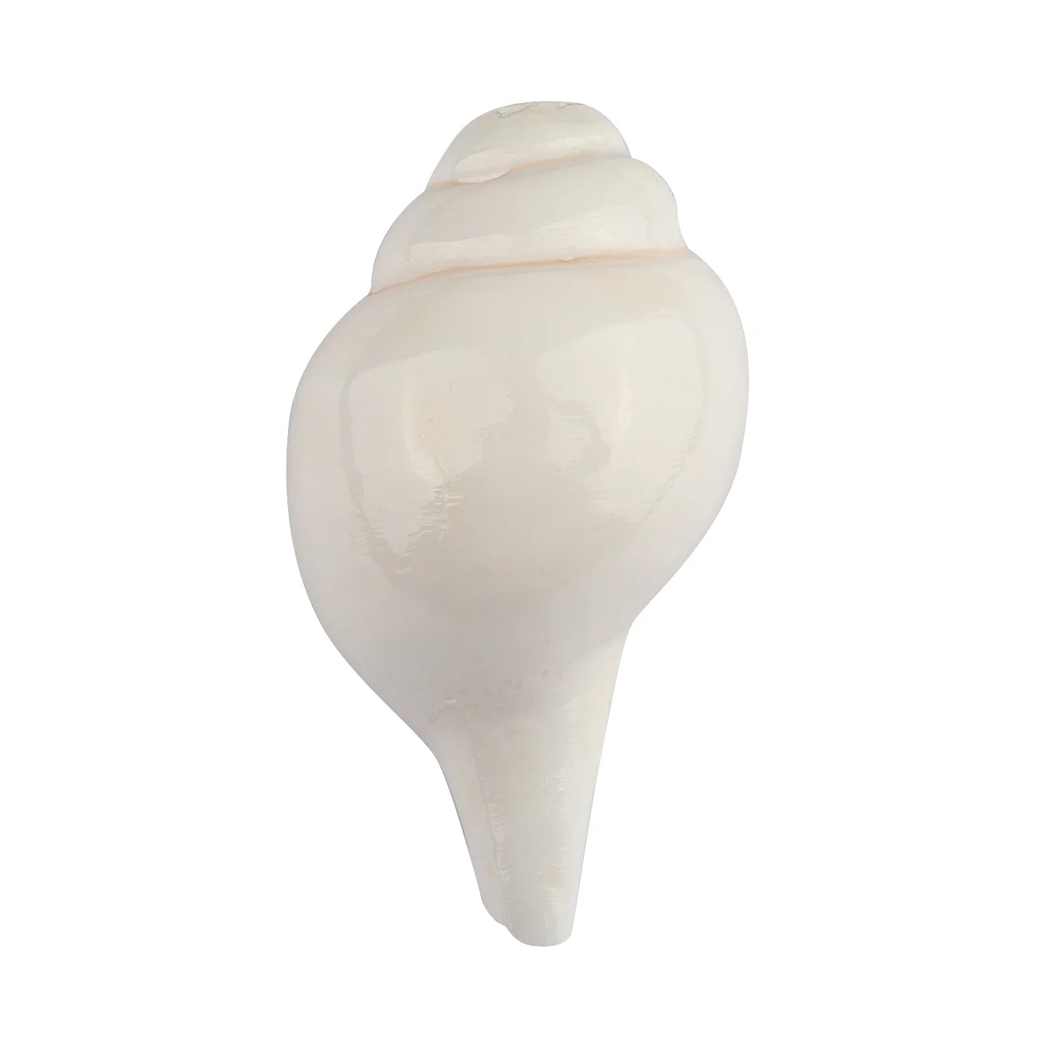 Mini Vamavarti Shankha (Conch Shell) Natural Blowing Shankh