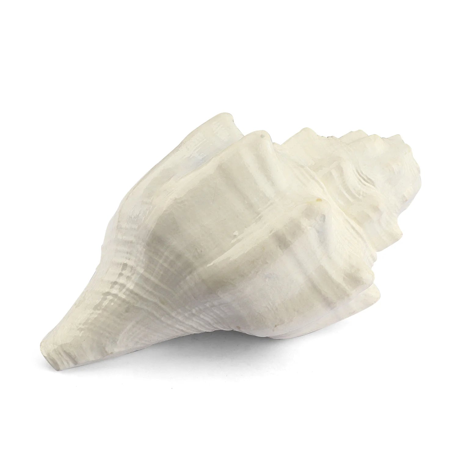 Regular Vishnu Vahan Garuda Shankh (Natural & White Blowing Conch Shell)