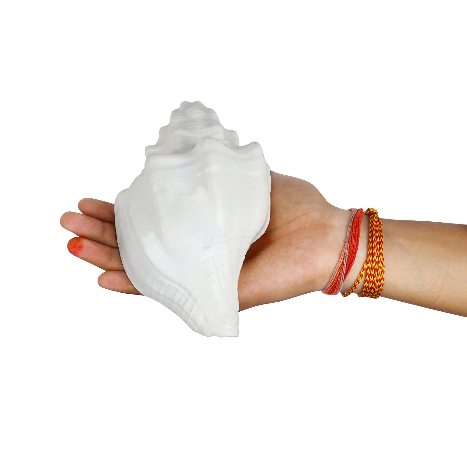 Regular Vishnu Vahan Garuda Shankh (Natural & White Blowing Conch Shell)