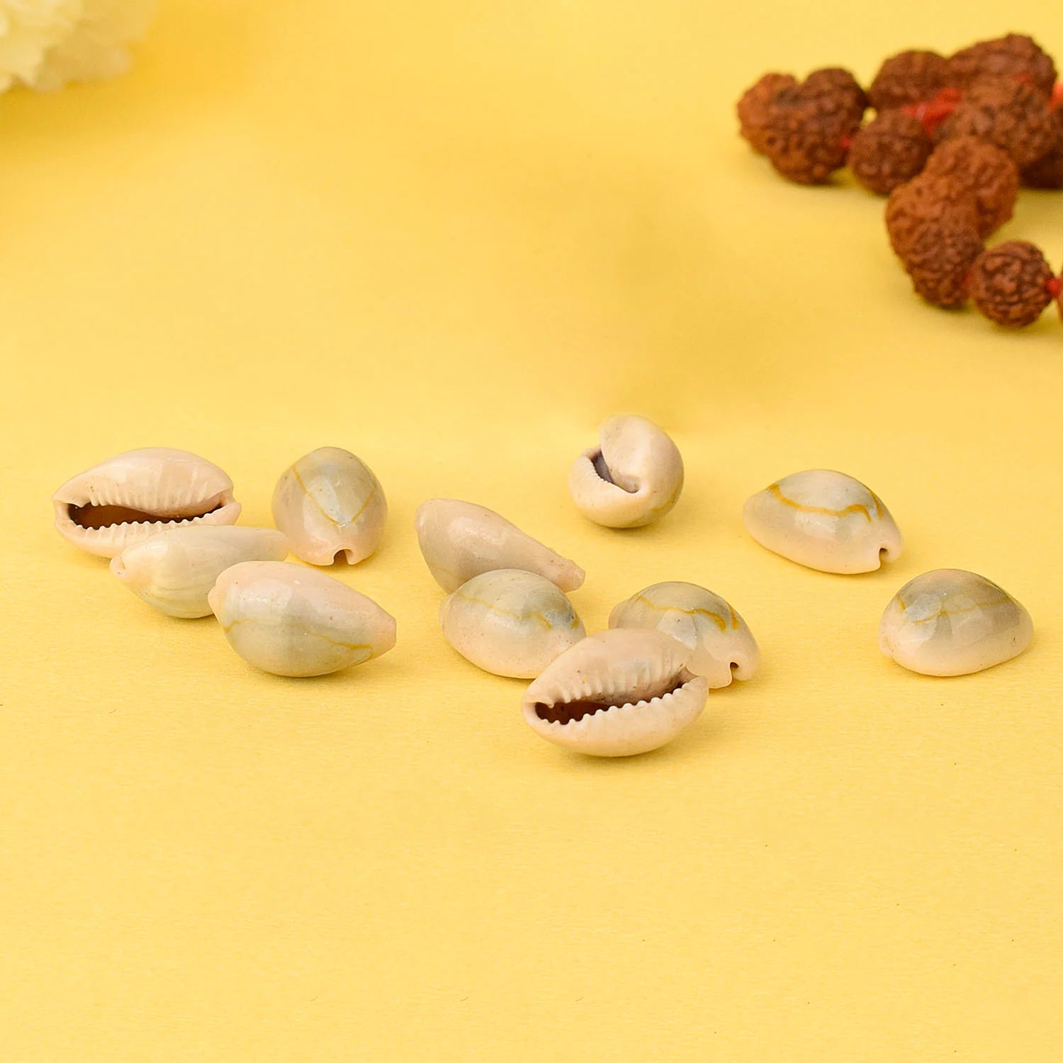 Natural Kodi for Pooja (11 Pc) – Top Quality Cowrie Shells