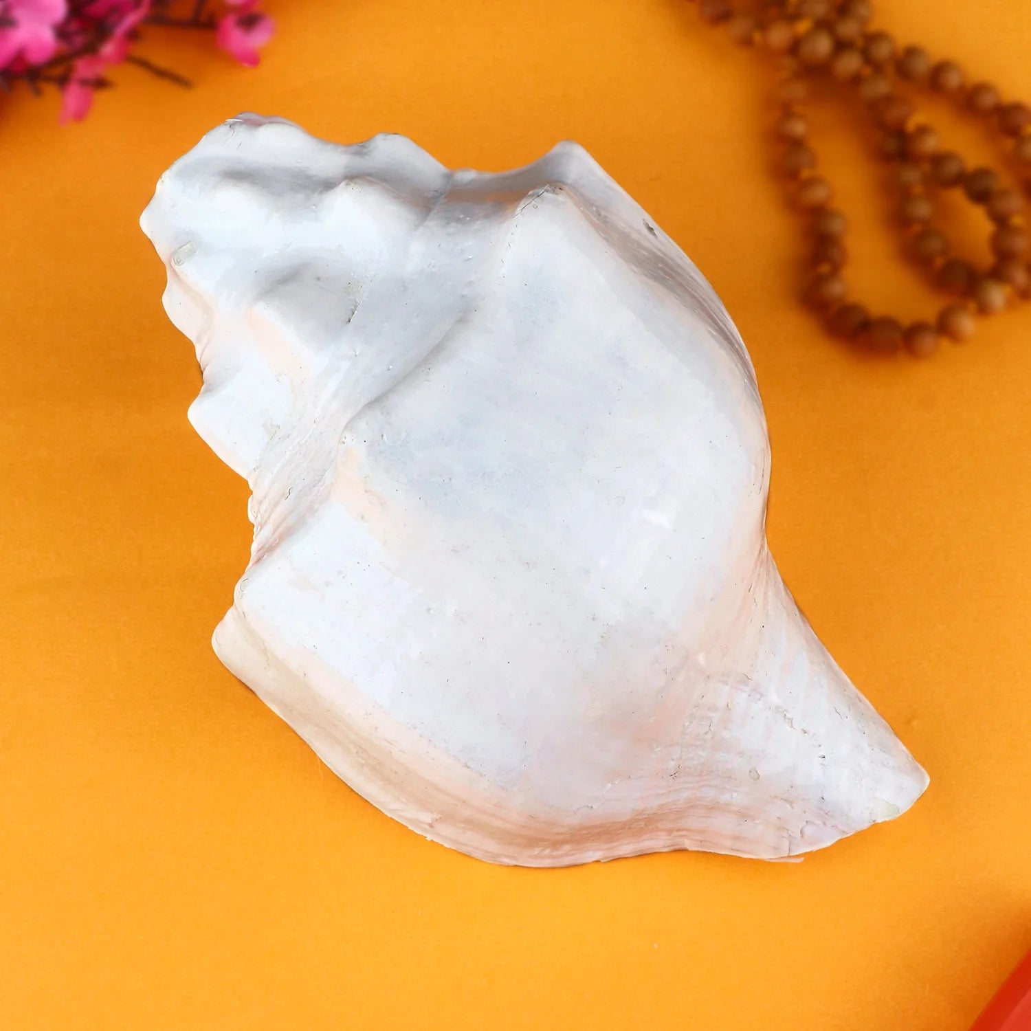 Regular Vishnu Vahan Garuda Shankh (Natural & White Blowing Conch Shell)